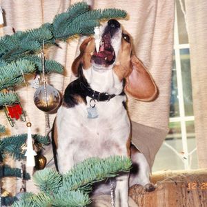 Meet your Posher, Helen